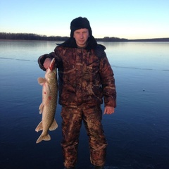 База отдыха Кот Матроскин, Выборгский район, Ленинградская область