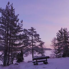 База отдыха Моя мечта, Выборгский район, Ленинградская область