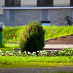 Загородный отель Президент, Санкт-Петербург, Ленинградская область