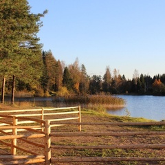 База отдыха Пикник, Тосненский район, Ленинградская область
