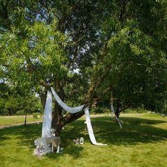 Парк-отель Потёмкин, Санкт-Петербург, Ленинградская область