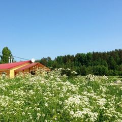 Эко-комплекс Ряйсяля, Приозерский район, Ленинградская область