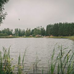 База отдыха Пикник, Тосненский район, Ленинградская область