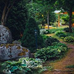 Парк-отель Дубрава, Приозерский район, Ленинградская область