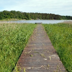 База отдыха Березово Хутор, Приозерский район, Ленинградская область