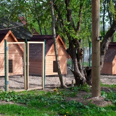 Агротуристический комплекс Заречье, Лужский район, Ленинградская область