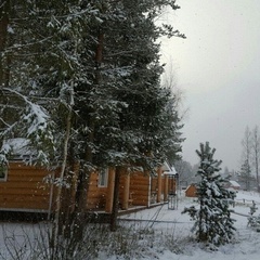 База отдыха Пикник, Тосненский район, Ленинградская область