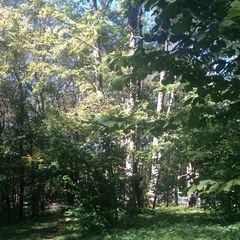 Гостевой дом Азалия, Апшеронский район, Краснодарский край