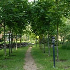 Парк-отель Дубрава, Приозерский район, Ленинградская область