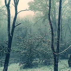 Гостевой дом Азалия, Апшеронский район, Краснодарский край