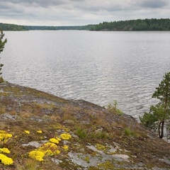 База отдыха Березово Хутор, Приозерский район, Ленинградская область