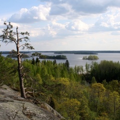 База отдыха Березово Хутор, Приозерский район, Ленинградская область