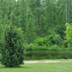 Парк-отель Дубрава, Приозерский район, Ленинградская область