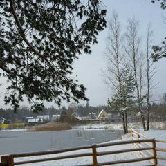 База отдыха Пикник, Тосненский район, Ленинградская область