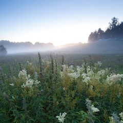 Туристическая база Лена-Ладога, Лахденпохский район, Республика Карелия