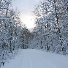 База отдыха Скала, Выборгский район, Ленинградская область