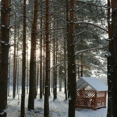 База отдыха Пикник, Тосненский район, Ленинградская область