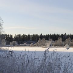 Загородный клуб Ромашка, Приозерский район, Ленинградская область