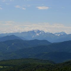 База отдыха Пихтовый бор, Апшеронский район, Краснодарский край