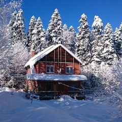 База отдыха Пихтовый бор, Апшеронский район, Краснодарский край