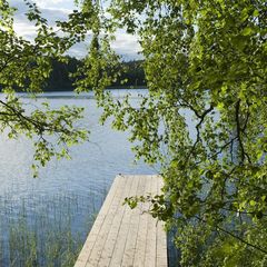 База отдыха  Хутор «Соромяки» , Лахденпохский район, Республика Карелия