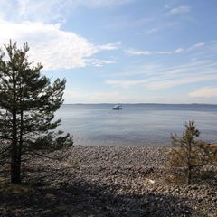 База отдыха  Хутор «Соромяки» , Лахденпохский район, Республика Карелия