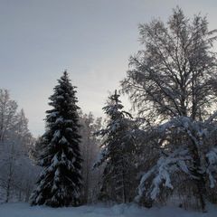 База отдыха Коркиниеми, Калевальский район, Республика Карелия