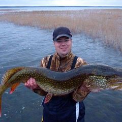 Гостевой дом Крестики-Нолики, Медвежьегорский район, Республика Карелия