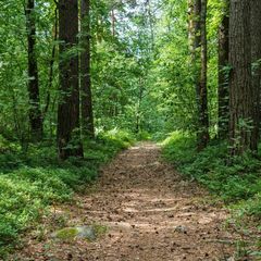 База отдыха Тихий берег, Приозерский район, Ленинградская область