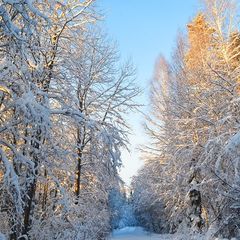 Коттеджный комплекс Кейхясярви, Лахденпохский район, Республика Карелия
