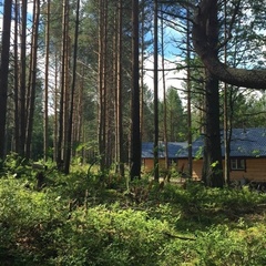 База отдыха Кишкойла, Пряжинский район, Республика Карелия