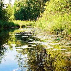 Коттедж Лонгасы, Медвежьегорский район, Республика Карелия