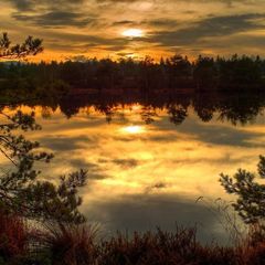 Гостевой дом Хвойный, Петрозаводск, Республика Карелия