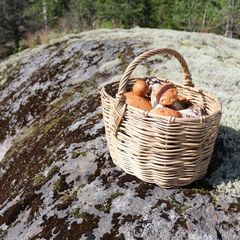 База отдыха Soul Camp, Лахденпохский район, Республика Карелия