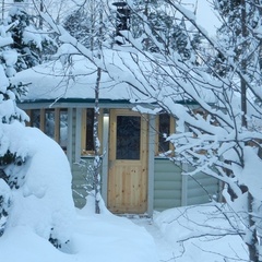 Гостевой дом Хвойный, Петрозаводск, Республика Карелия