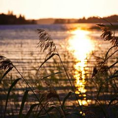 Коттедж Лонгасы, Медвежьегорский район, Республика Карелия