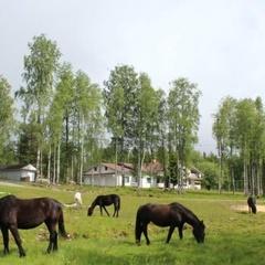 Гостиничный комплекс Фрегат, Костомукша, Республика Карелия