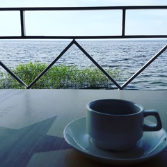 Гостиница Тихая гавань, Псковский район, Псковская область