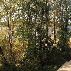 Гостевой дом Отца Василия, Сортавала, Республика Карелия