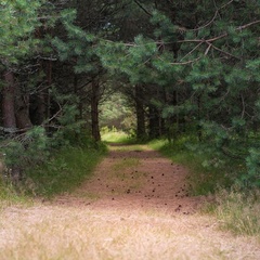 Гостиница Тихая гавань, Псковский район, Псковская область