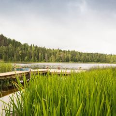 База отдыха Аласари, Сортавала, Республика Карелия