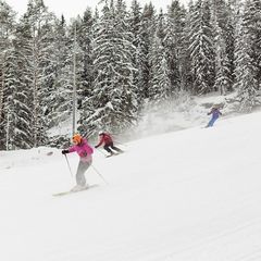 Курорт Ялгора, Прионежский район, Республика Карелия