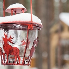 Комплекс отдыха Karjala Park, Пряжинский район, Республика Карелия