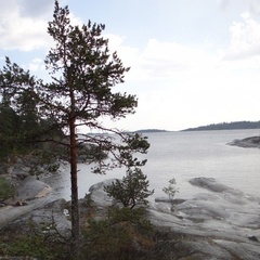 Гостевой дом Кодикас, Сортавала, Республика Карелия