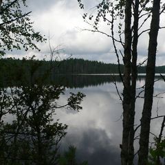 База отдыха Куйкаярви, Суоярвский район, Республика Карелия