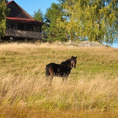 База отдыха Микли-Ольгино, Лахденпохский район, Республика Карелия