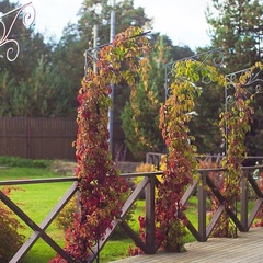 Загородный отель Villa Vitele, Олонецкий район, Республика Карелия