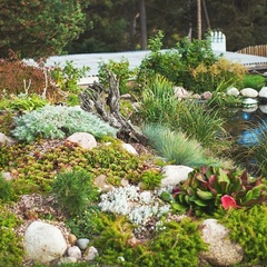 Загородный отель Villa Vitele, Олонецкий район, Республика Карелия