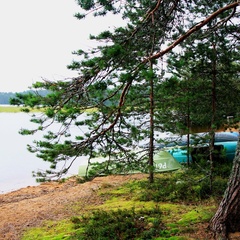 База отдыха Северное сияние, Пряжинский район, Республика Карелия