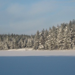 Гостевой дом Вуара, Костомукша, Республика Карелия